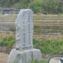 봉화잔디 이미지