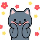 이쁜이식품 이미지