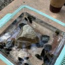 마장2리 마을회관 | 파주 계곡, 서울 근교 1시간 거리에서 만나는 맑고 깊은 마장리 계곡!