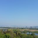 비비정 상생 도시숲 이미지