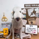 멍스베리 이미지