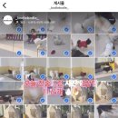 보들보들 유치원 이미지