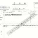 미드미 태권도 이미지