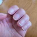 에이.비.지 이미지