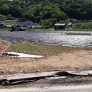 대소원면사무소 이미지