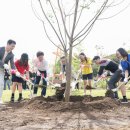 노을숲제주 이미지