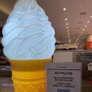 아이스크림백화점 | 청주 현대백화점 구슬아이스크림 꽃잎아이스크림 후기(내돈내산)