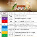 피부 나이를 되돌리다