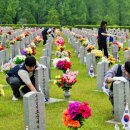 충남대로 이미지