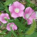 산들부동산중개사무소 이미지