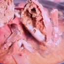 구)복성식당 이미지