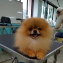 방화동농장 이미지