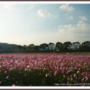 황룡강변 이미지