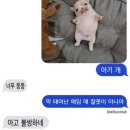 나만의 블랙스완 당신을보고 첫눈에 반햇습니다