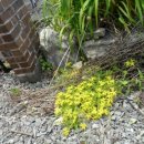 칠북반점 이미지