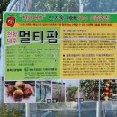멀티팜 이미지