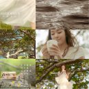 골드식품 - 남동구 | 골드식품