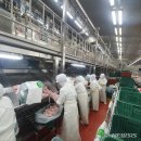 ㈜체리부로 금계지점 이미지