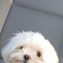 씨컴 이미지
