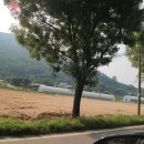 오!금화네집밥