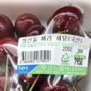 관악구민종합체육센터 네이버블로그