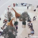 구찌노래연습장 이미지