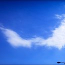 (주)이좋은세상 이미지