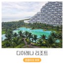 네바퀴 정비마을 | 나트랑 공항 근처 0.5박 호텔 디아레나 리조트 추천과 비추천 그 사이 어딘가 (ft. 수영장 후기)