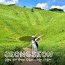 은곡초교입구교차로 | 정선 민둥산 뚜벅이 여행 서울 당일치기 등산코스 혼자 다녀온 후기