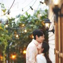 다비스튜디오 이미지
