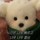 경바다애 | 감기 하루만에 낫는법 🤧