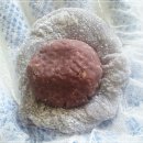 설모찌