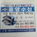 흥양수산 네이버블로그