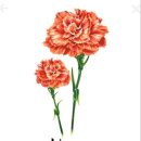 다정 MBA 태권도(2관) 이미지