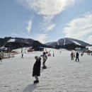 용평리조트 이미지