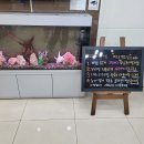 대구서울하정외과의원 이미지