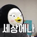 전국통합사다리차스카이차