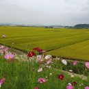 실버체조 | 건강체조,실버체조,실버요가 수업후기^^~~