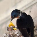 두호1시장 이미지