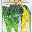 이레농자재