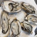 태평양식당 | [노량진 맛집] 태평양수산 서울회식당 - (초장집/ 인어교주해적단)