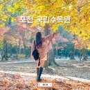 (주)포천교통 | 포천 국립수목원 단풍 실시간 광릉수목원 주차 예약 취소