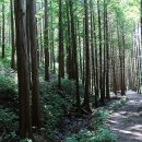 홍일상사 이미지