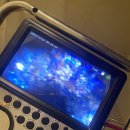 색달동-5 이미지