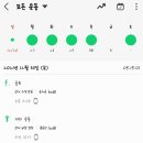 바디버디