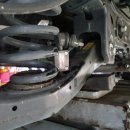 둥이모터스 이미지