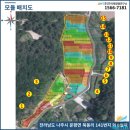 지보 태양광발전소 이미지