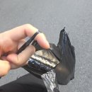 지혜네 | 흑산도 1일 2카페 방문 후기 [디저트&amp;커피(지혜네 먹거리) / 카페 38]