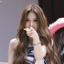 안나무스