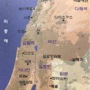 그릿시냇가 네이버블로그